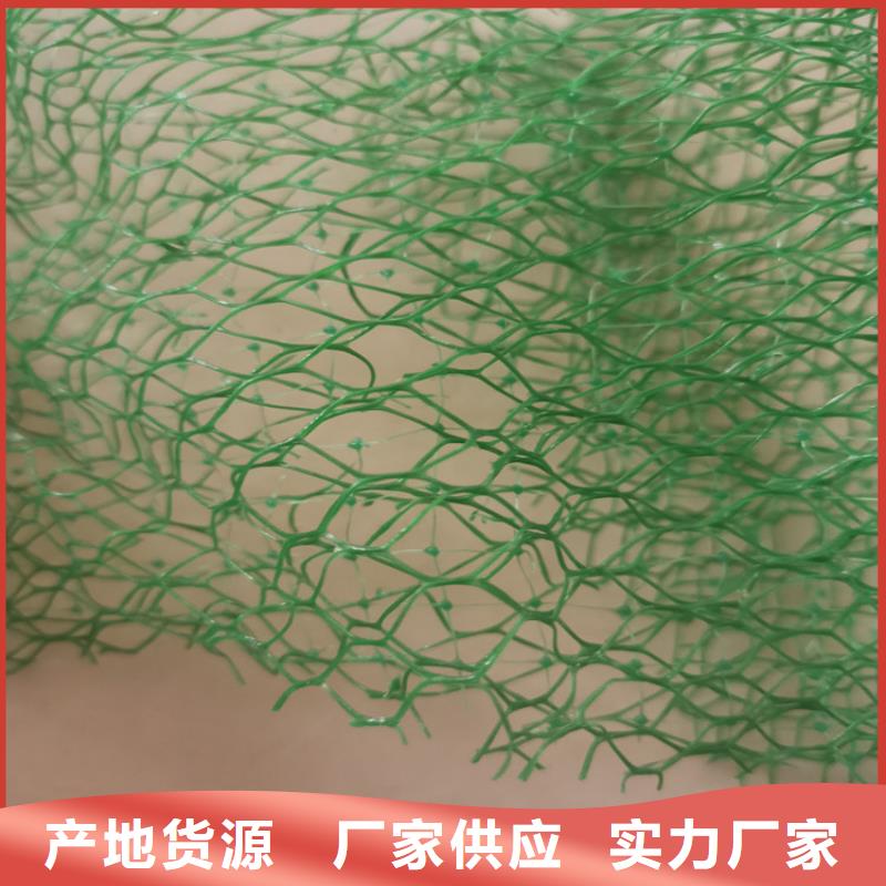 【三维植被网,土工膜库存量大】