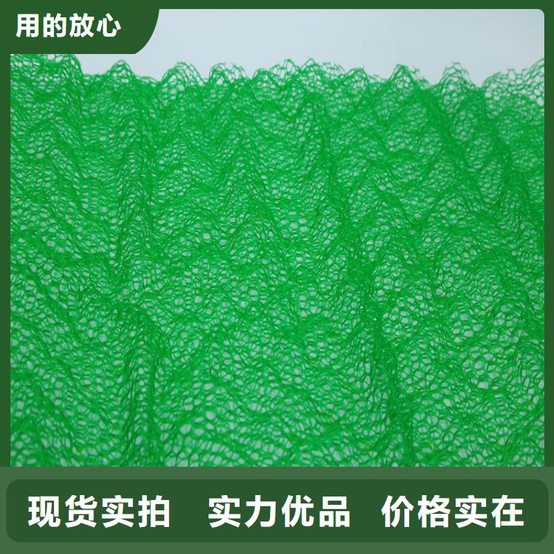 三维植被网-【防渗膜】高质量高信誉