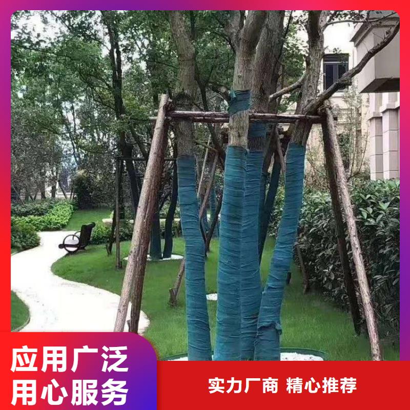 【裹树布】玻纤土工格栅推荐厂家