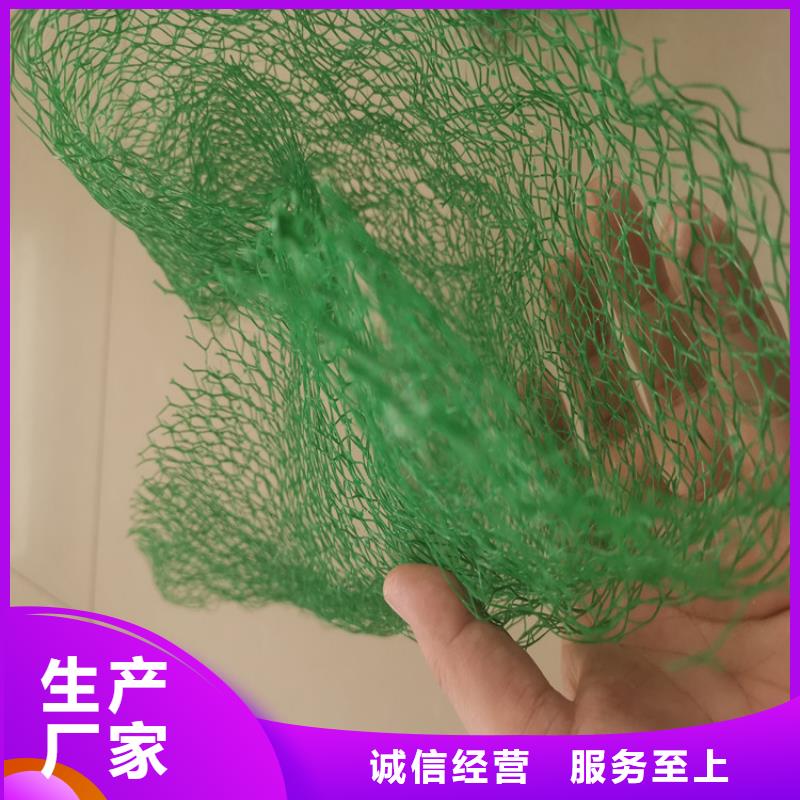 【三维植被网HDPE土工膜符合行业标准】