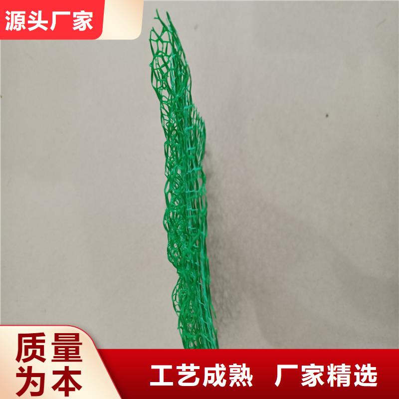 三维植被网【HDPE土工膜】经销商