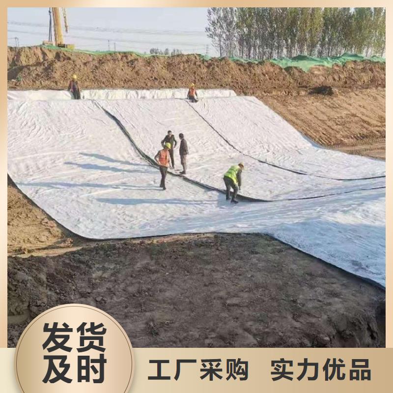 【膨润土防水毯】复合膜支持定制批发