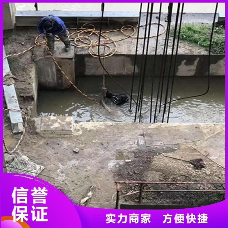 水下_水下安装案例丰富