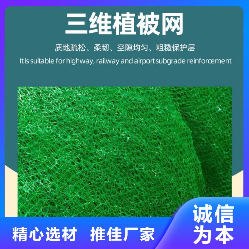 三维植被网_排水板品质服务