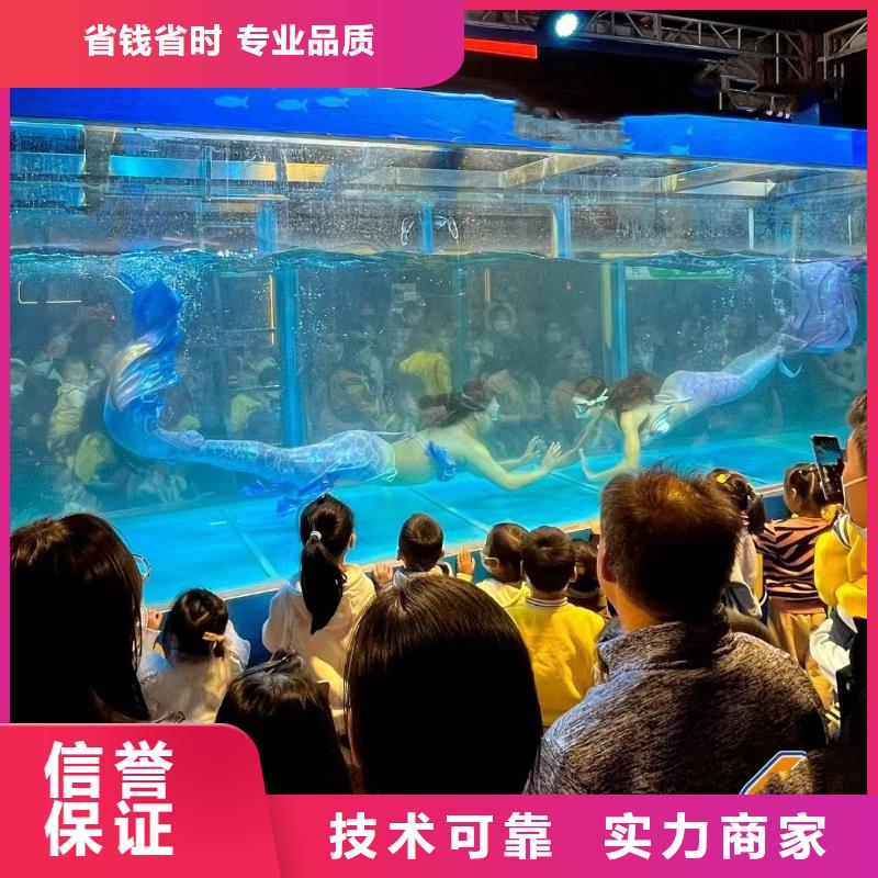 海洋主题动物表演【海洋展租赁】资质齐全