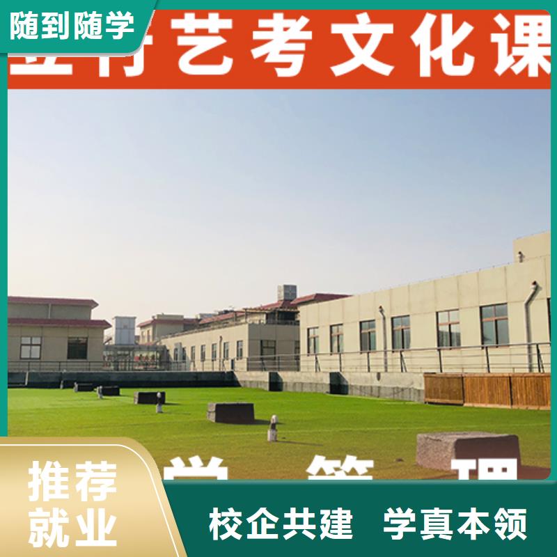 有几所学校艺考生文化课培训学校