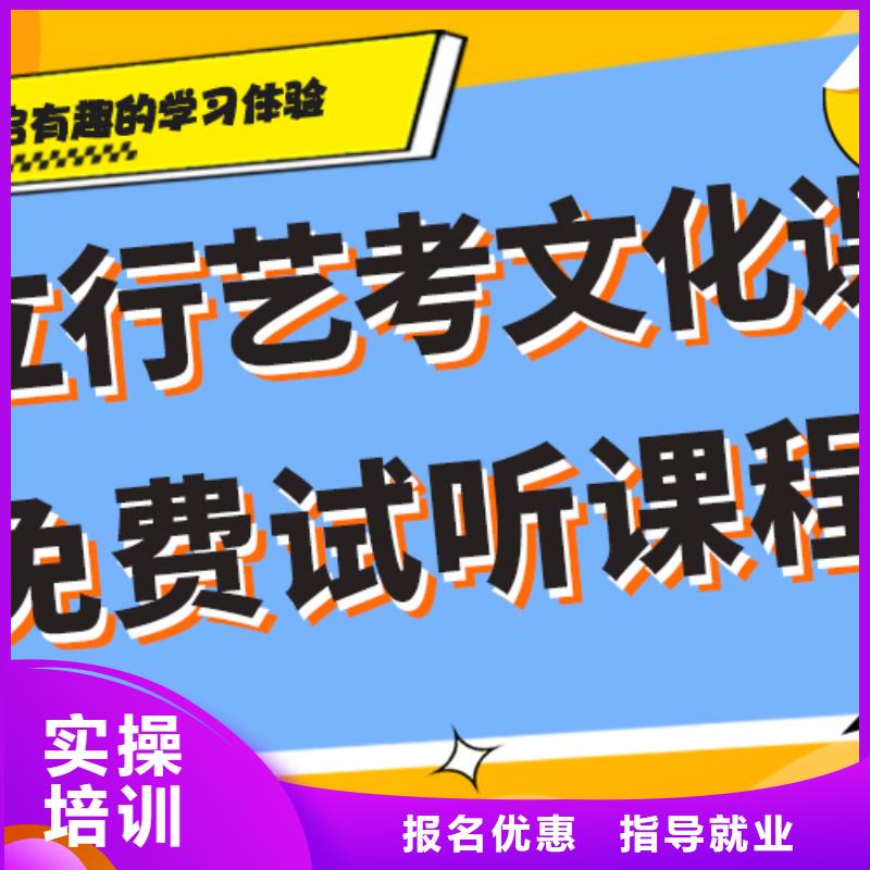 艺体生文化课培训补习哪个好艺考生文化课专用教材