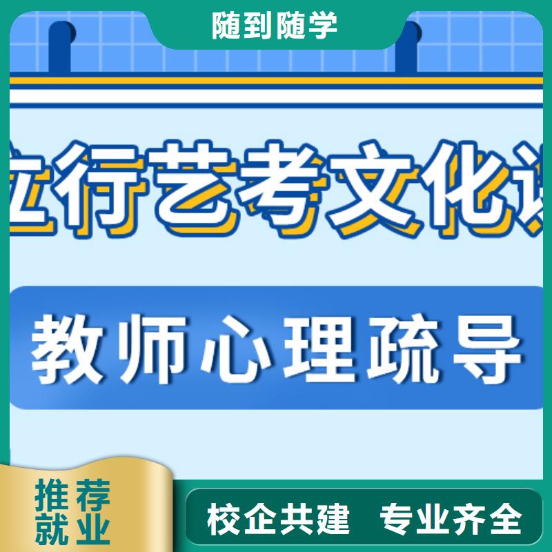 艺考生文化课培训补习一览表精准的复习计划