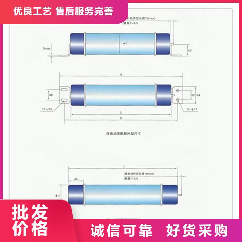 限流熔断器【高压开关柜】颜色尺寸款式定制