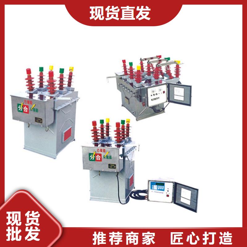 【真空断路器绝缘子厂家直销规格多样】