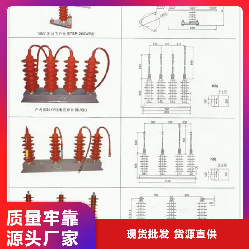 【过电压保护器绝缘子实力派厂家】