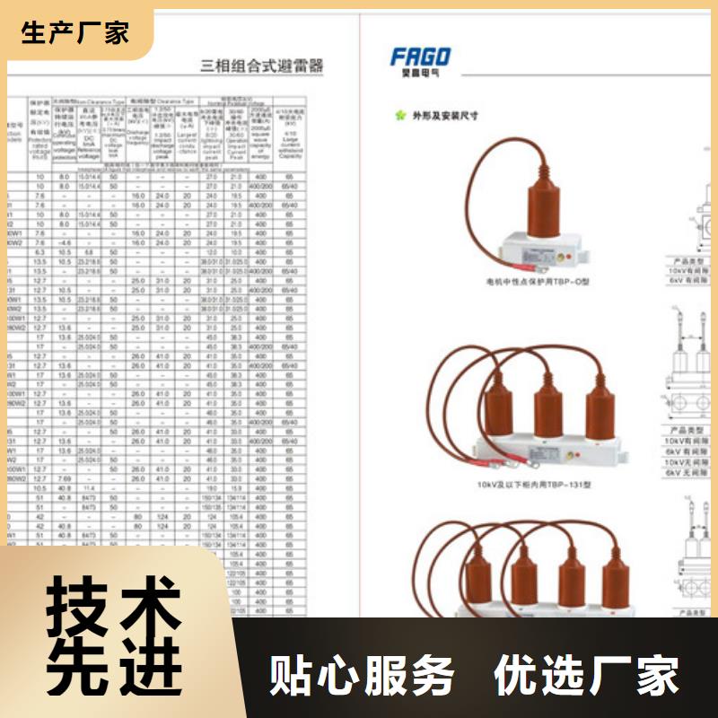 【过电压保护器绝缘子实力派厂家】