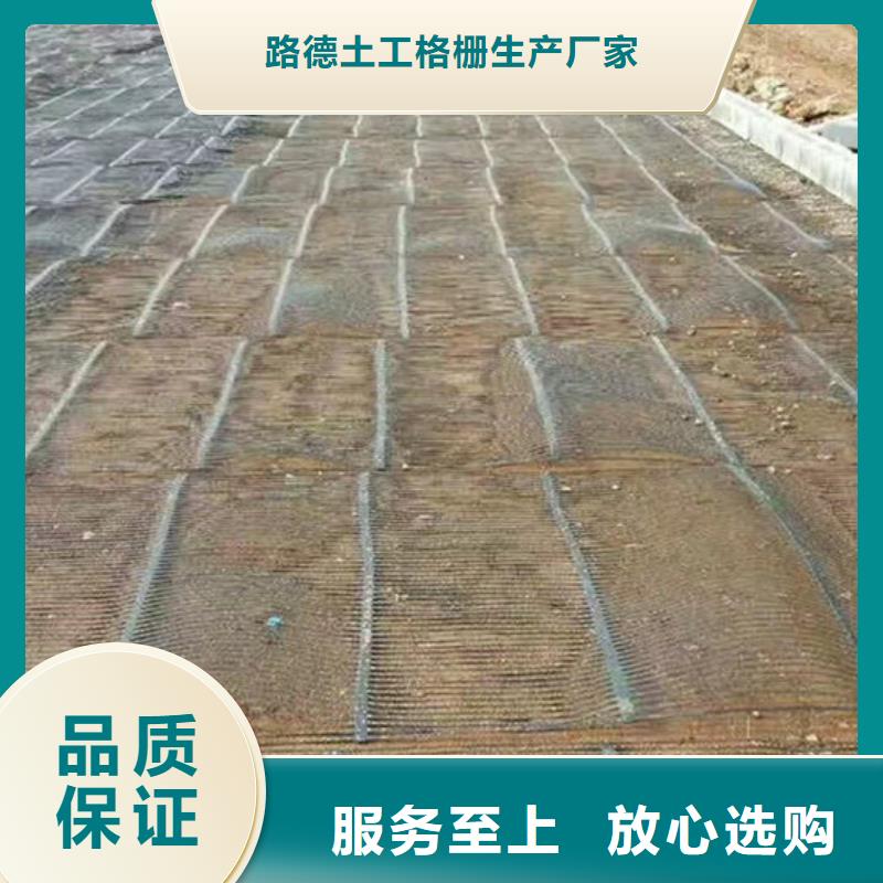 单向塑料格栅塑料土工格栅重信誉厂家