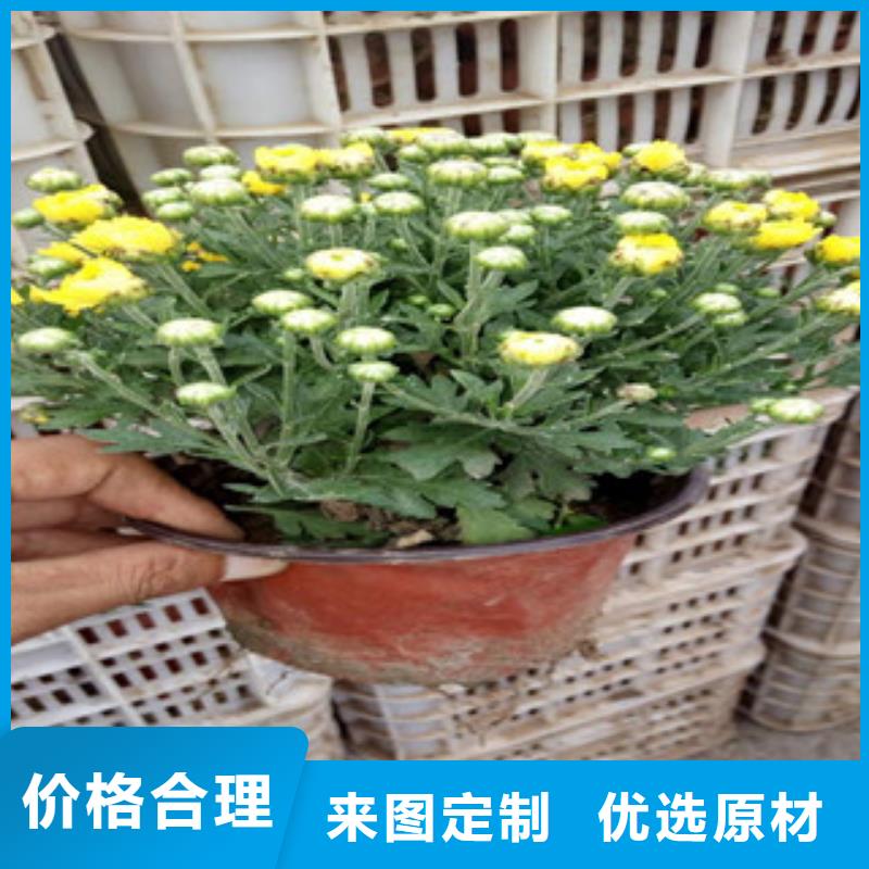 花海景观【花海景观工程】专注细节专注品质