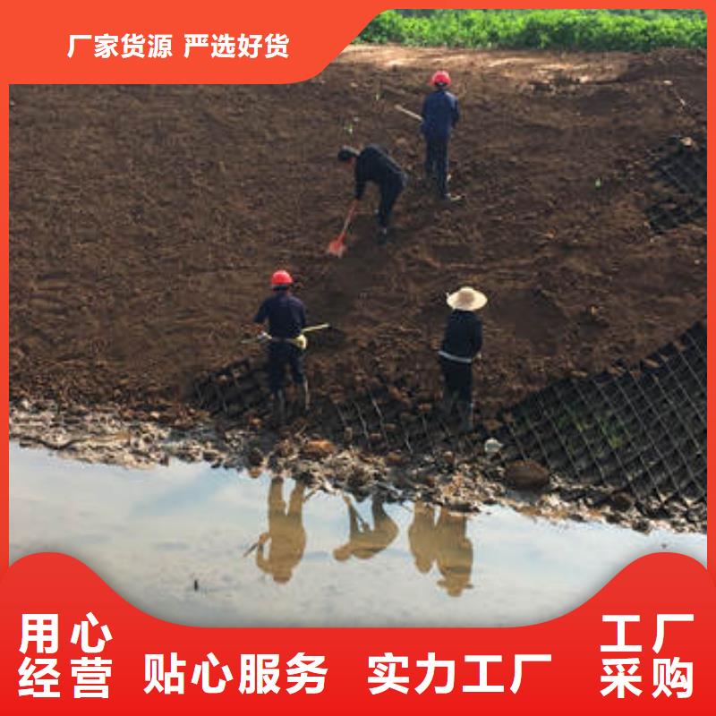 【蜂巢格室】涤纶格栅客户好评